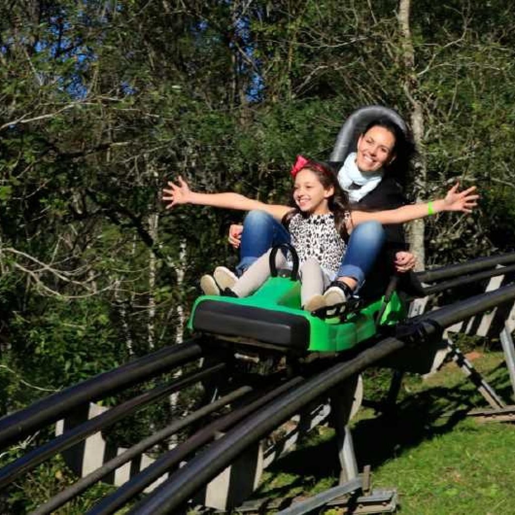 Alpen Park Discount Ticket