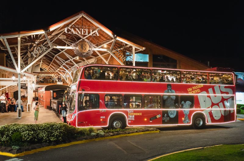 Bustour illumination show 04