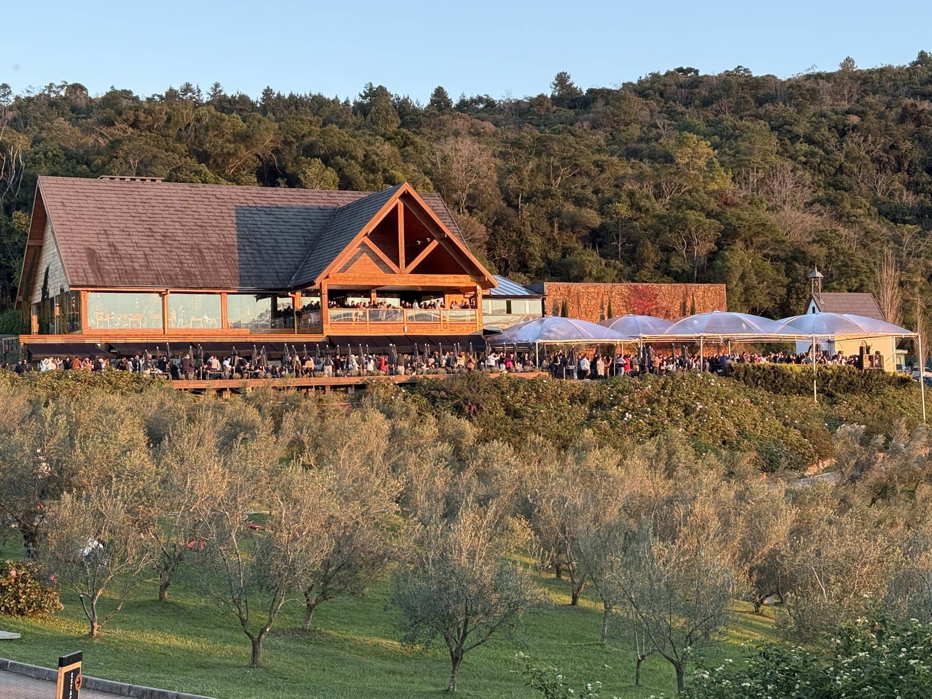 Olivas de Gramado Coupon