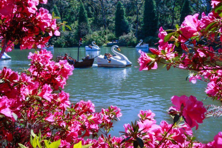 City Tour Gramado e Canela
