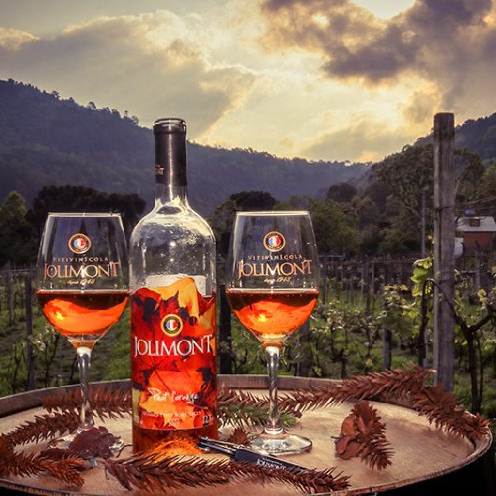 Discover the Magic of Jolimont Winery with Discount Coupon "OVIAJANTE"