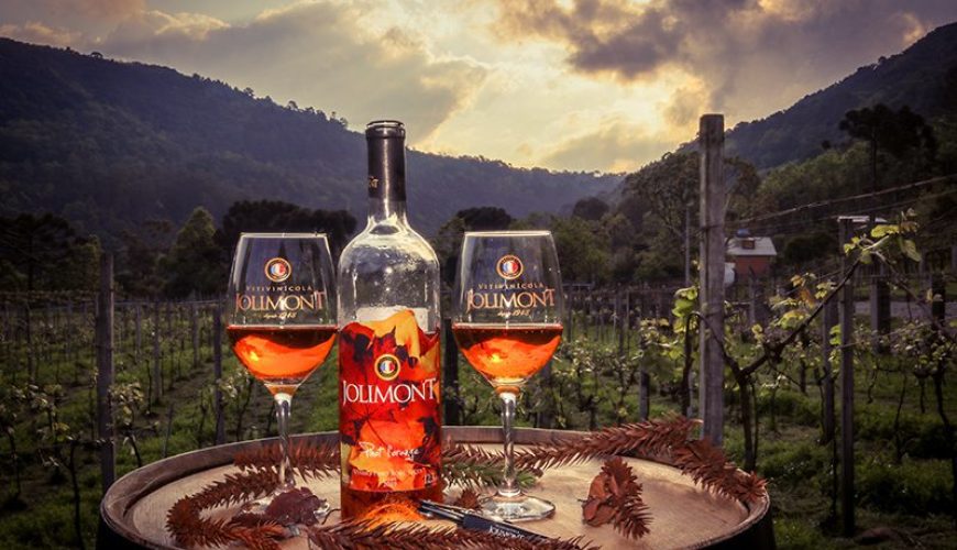 Descubra a Magia da Vitivinícola Jolimont com o Cupom de Desconto "OVIAJANTE"