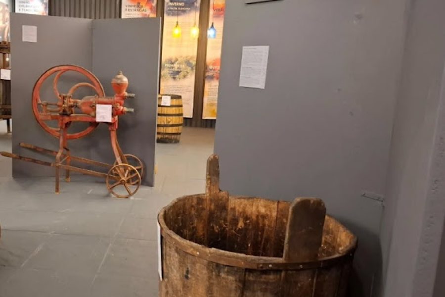 Cupom Museu do Vinho