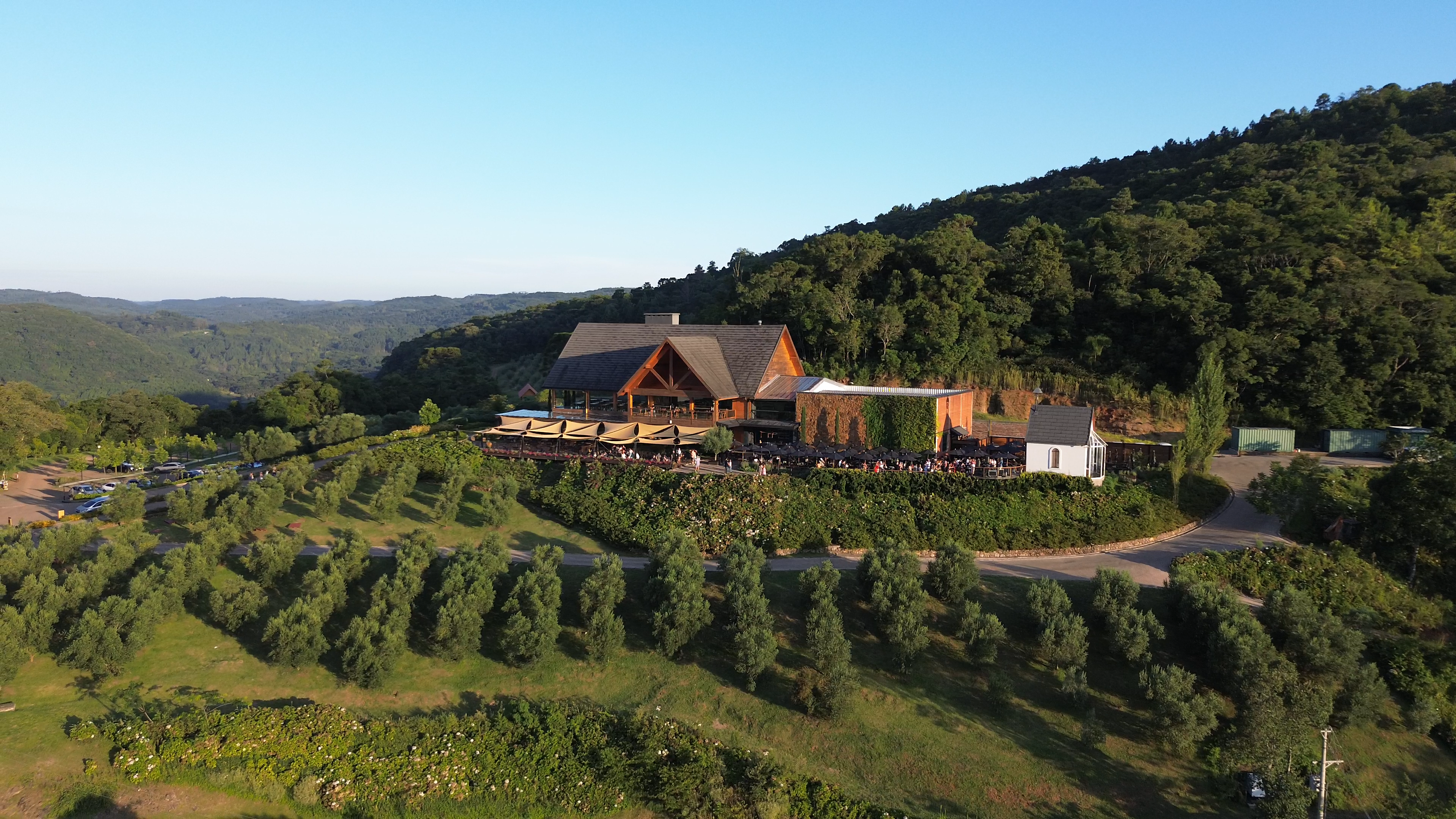 Olivas de Gramado 2025