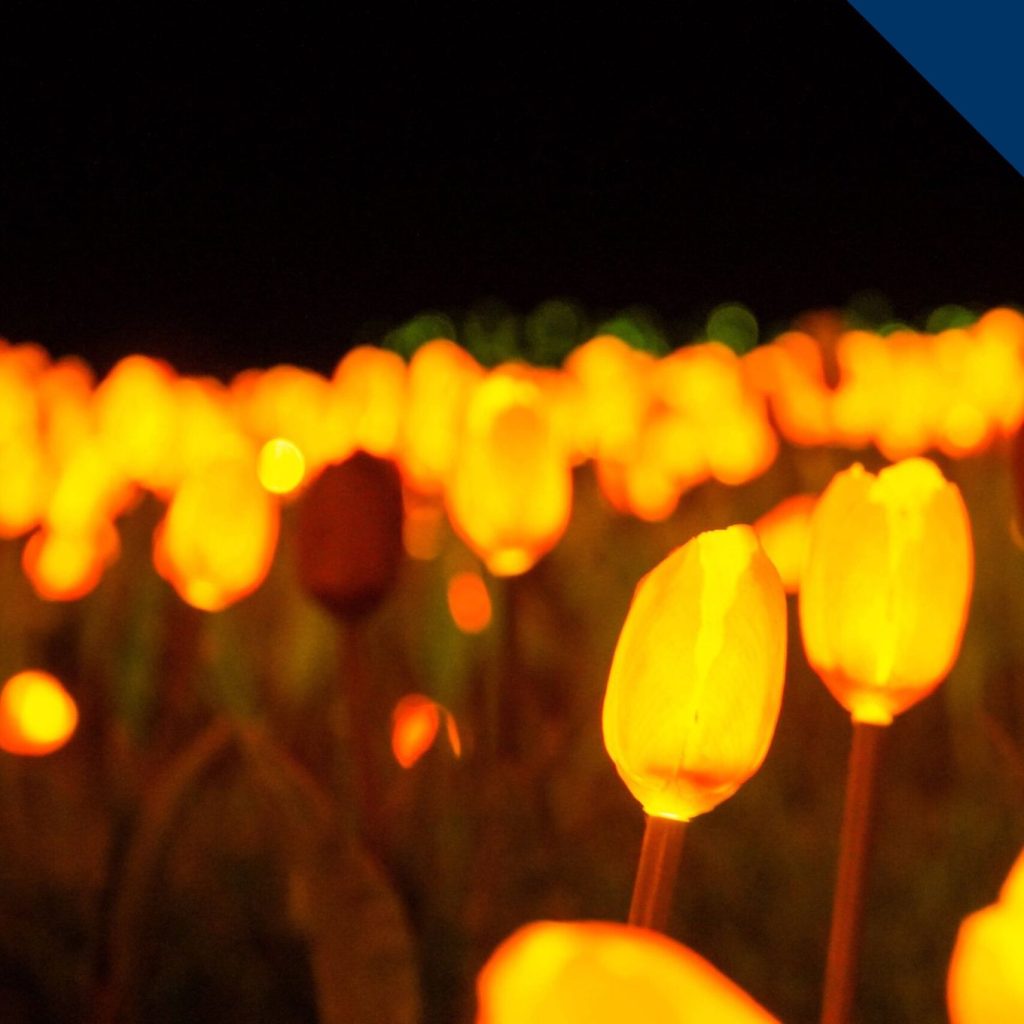 Lumni Gramado Coupon