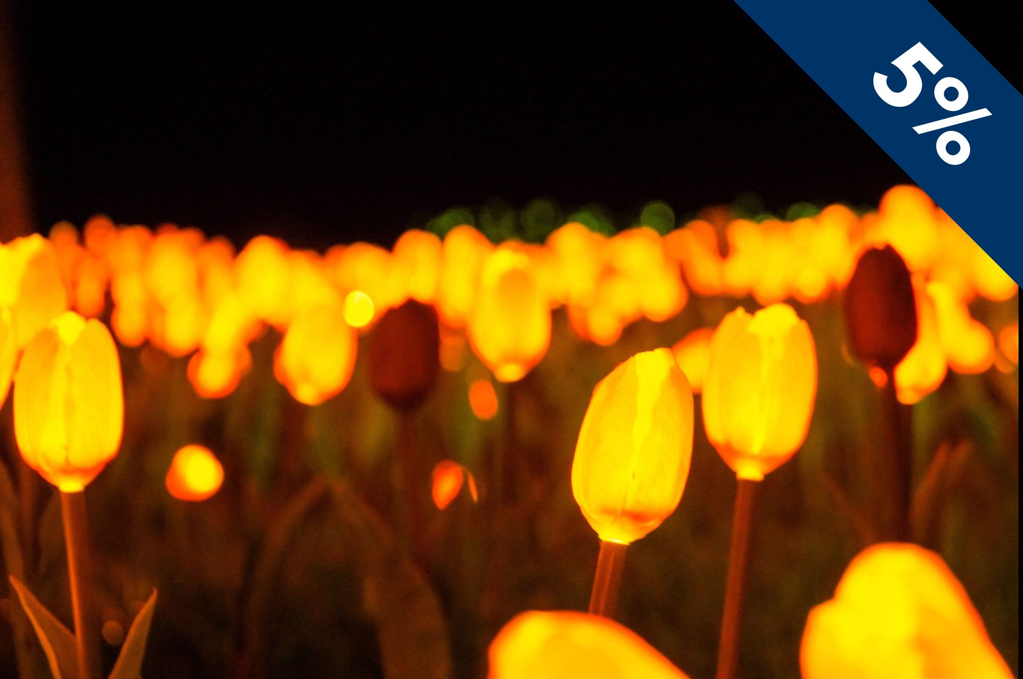 Lumni Gramado Coupon