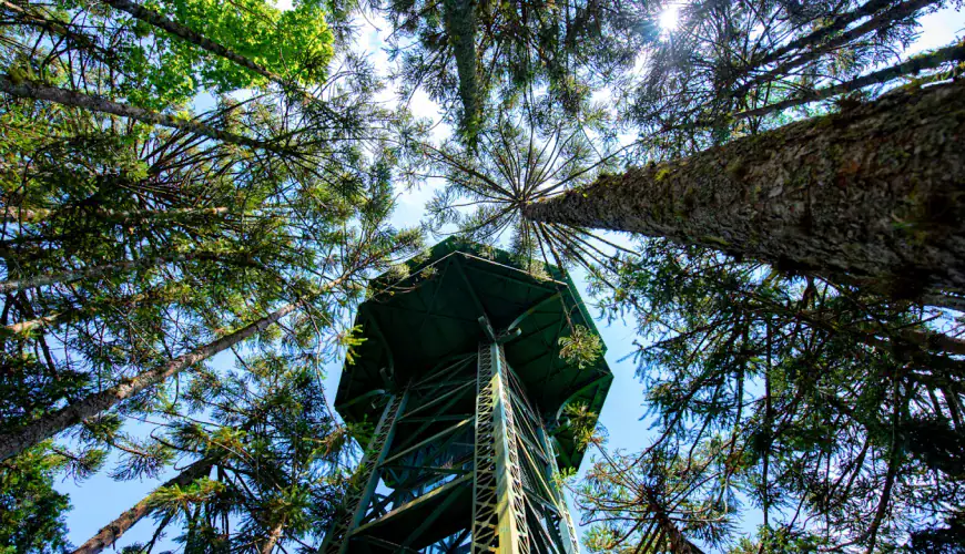 Parque do Caracol Coupon
