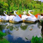 O que fazer em Gramado em 2026: Lago Negro e atrações da cidade