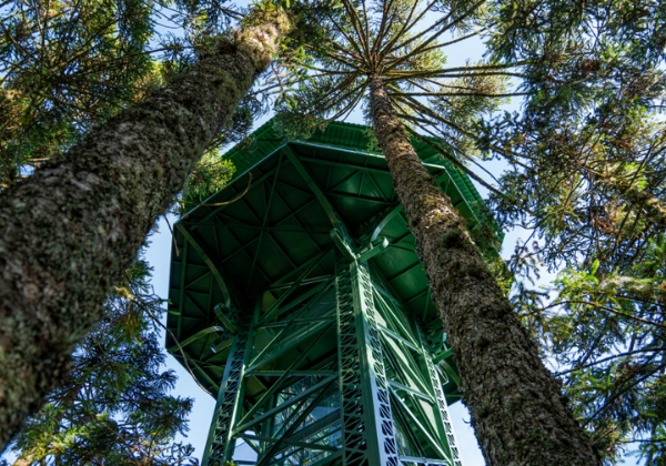 Parque do Caracol Coupon - OVIAJANTE with 5% Discount and News in 2025 3 Observatory