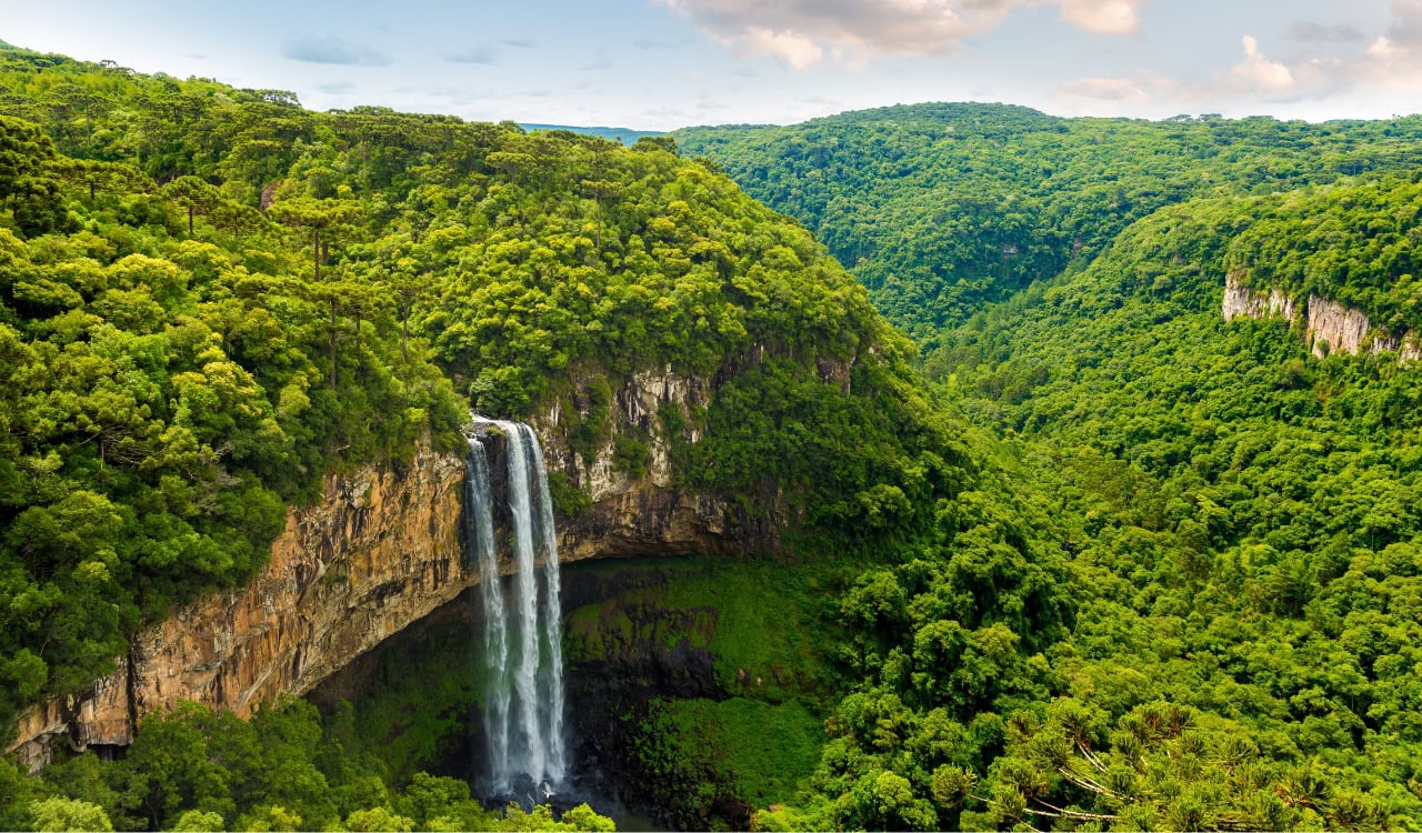 Parque do Caracol 2026