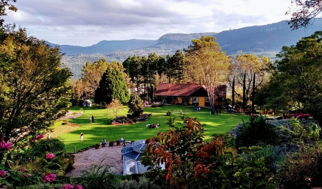 le jardin