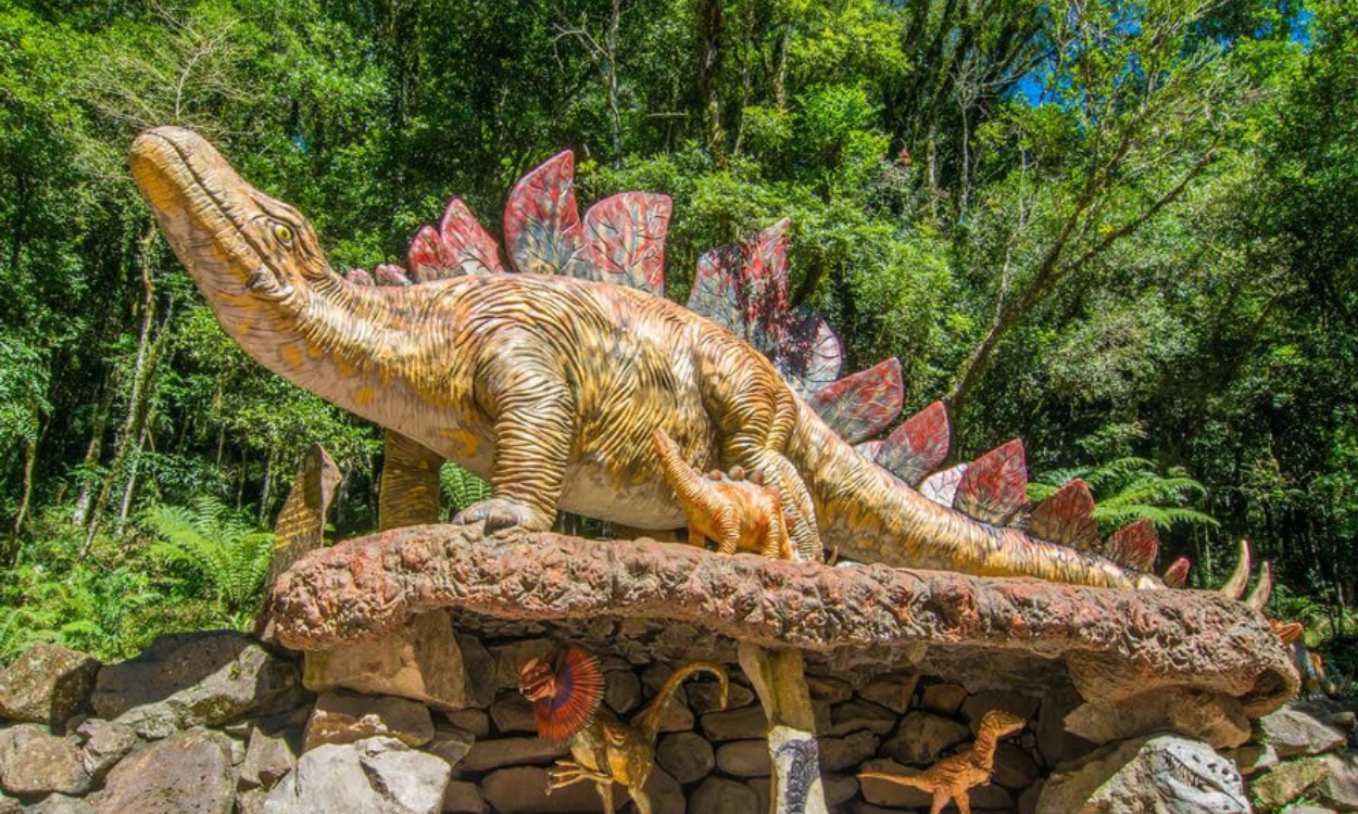 O que fazer no Parque Florybal