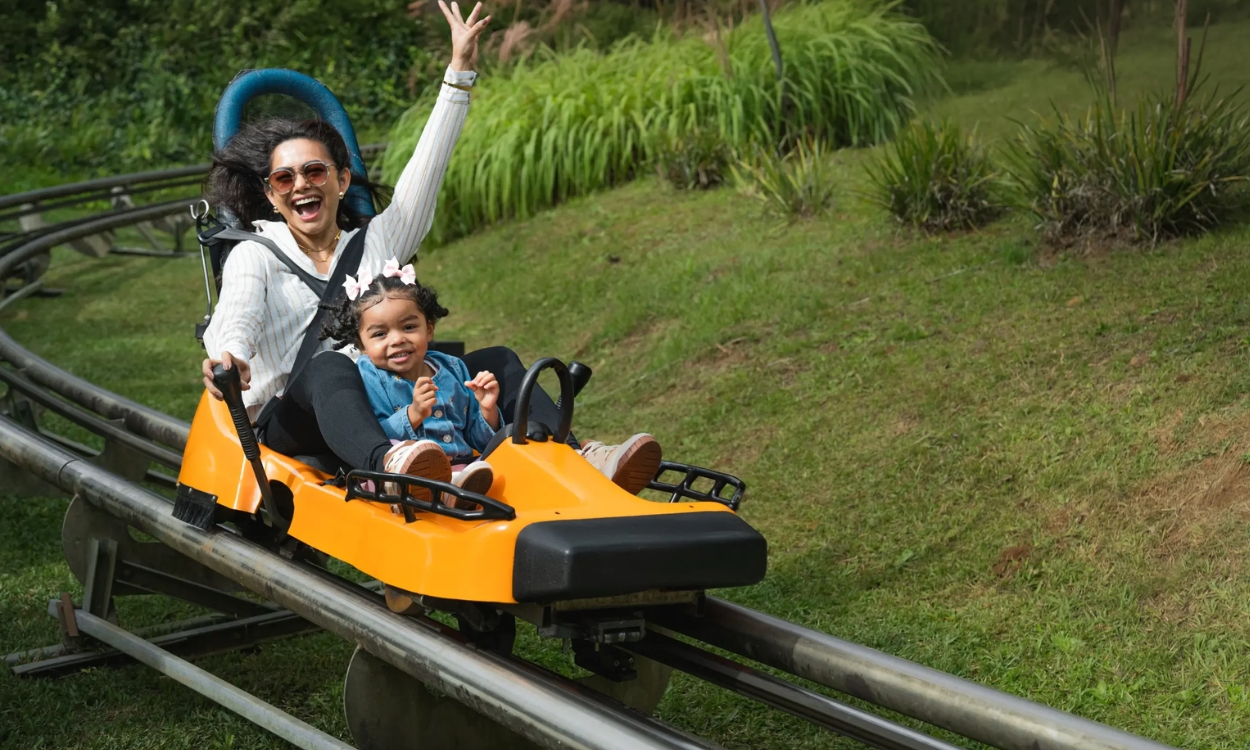 Alpen Park Vale a Pena? Preços 2026, Novo Trenó e Cupom de Desconto 2 Alpen park Treno