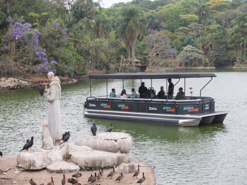 Barco do Acqua Zoo navegando pelo lago com aves na margem