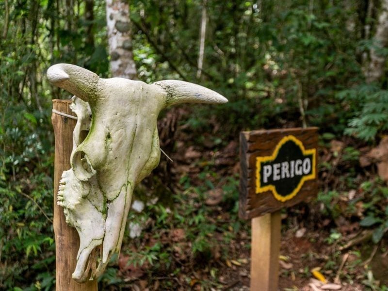 Crânio e placa de perigo na trilha do Jardim Jurássico do Jardim dos Pinhais