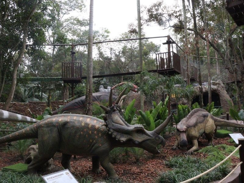Triceratops animatrônico na trilha do Mundo Dino em São Paulo