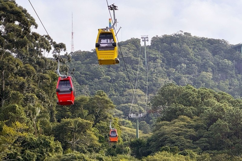 Bondinhos aéreos do Parque Unipraias sobre a Mata Atlântica do Morro da Aguada