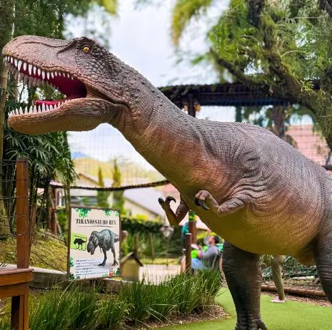 Tiranossauro Rex em tamanho real na Vila Encantada, parque dos dinossauros em Pomerode-SC