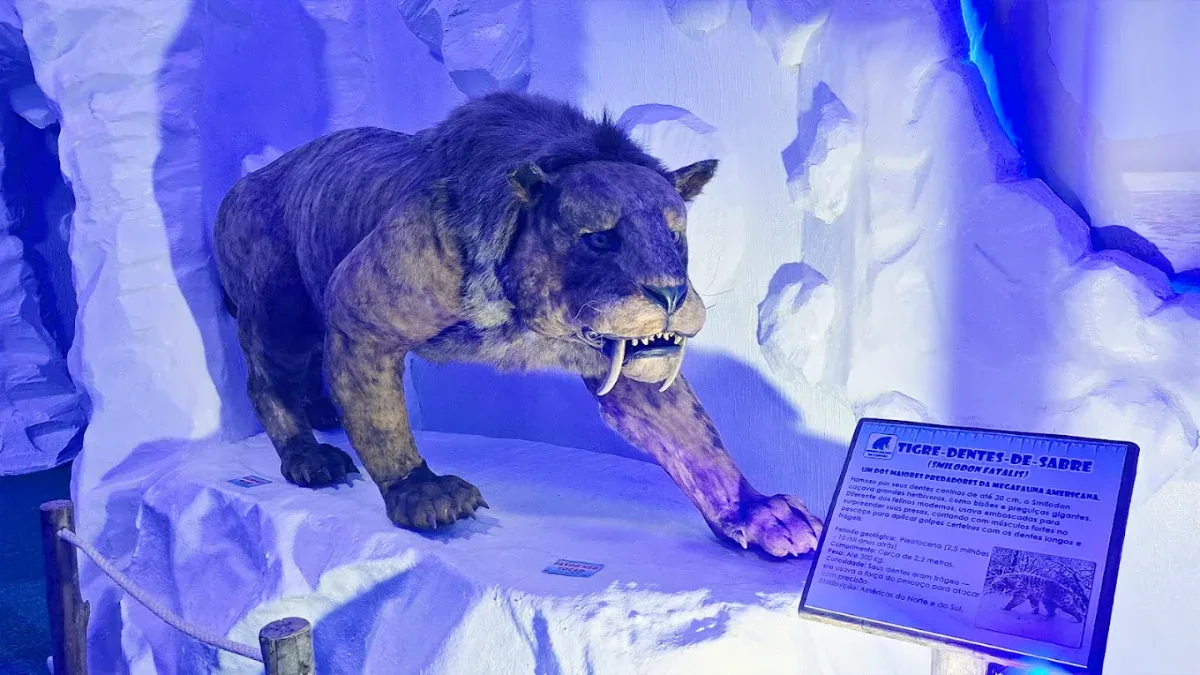 Réplica de tigre-dentes-de-sabre no percurso temático do Mundo Gelado em Canela