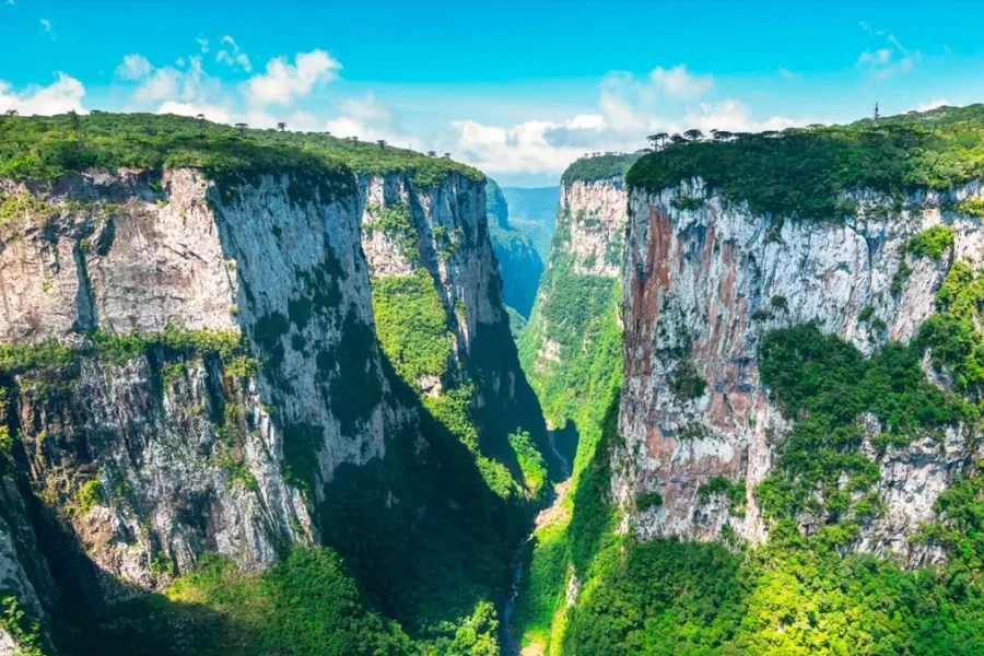 Paredões verticais cobertos de mata do Cânion Itaimbezinho, em Cambará do Sul