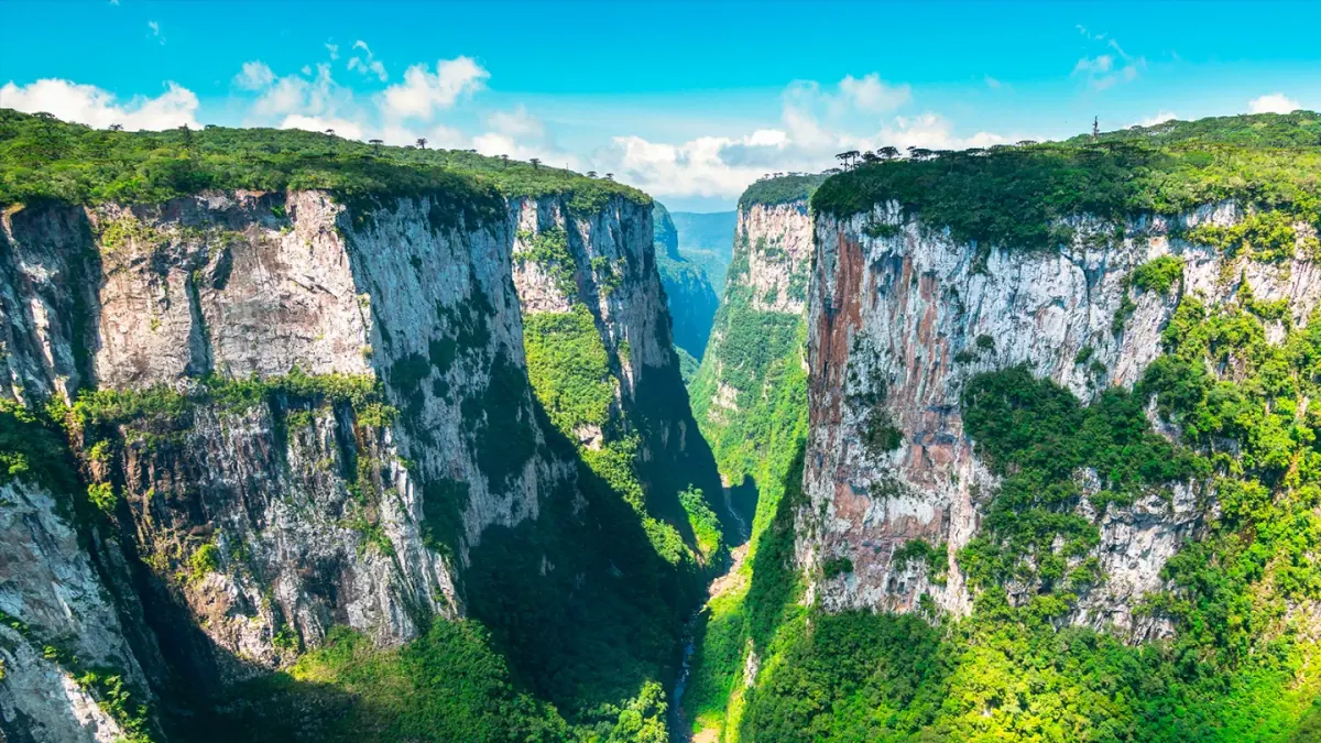 Paredões verticais cobertos de mata do Cânion Itaimbezinho, em Cambará do Sul