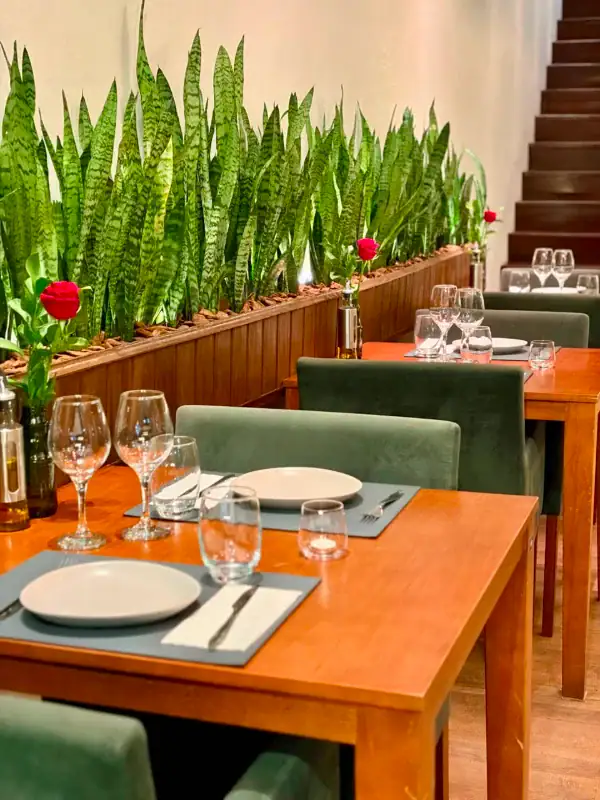 Mesas com taças e jardim de espadas-de-são-jorge no salão da Casa Verdan, em Canela